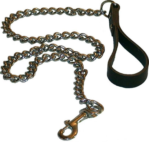 Mr B Dogleash with Chain